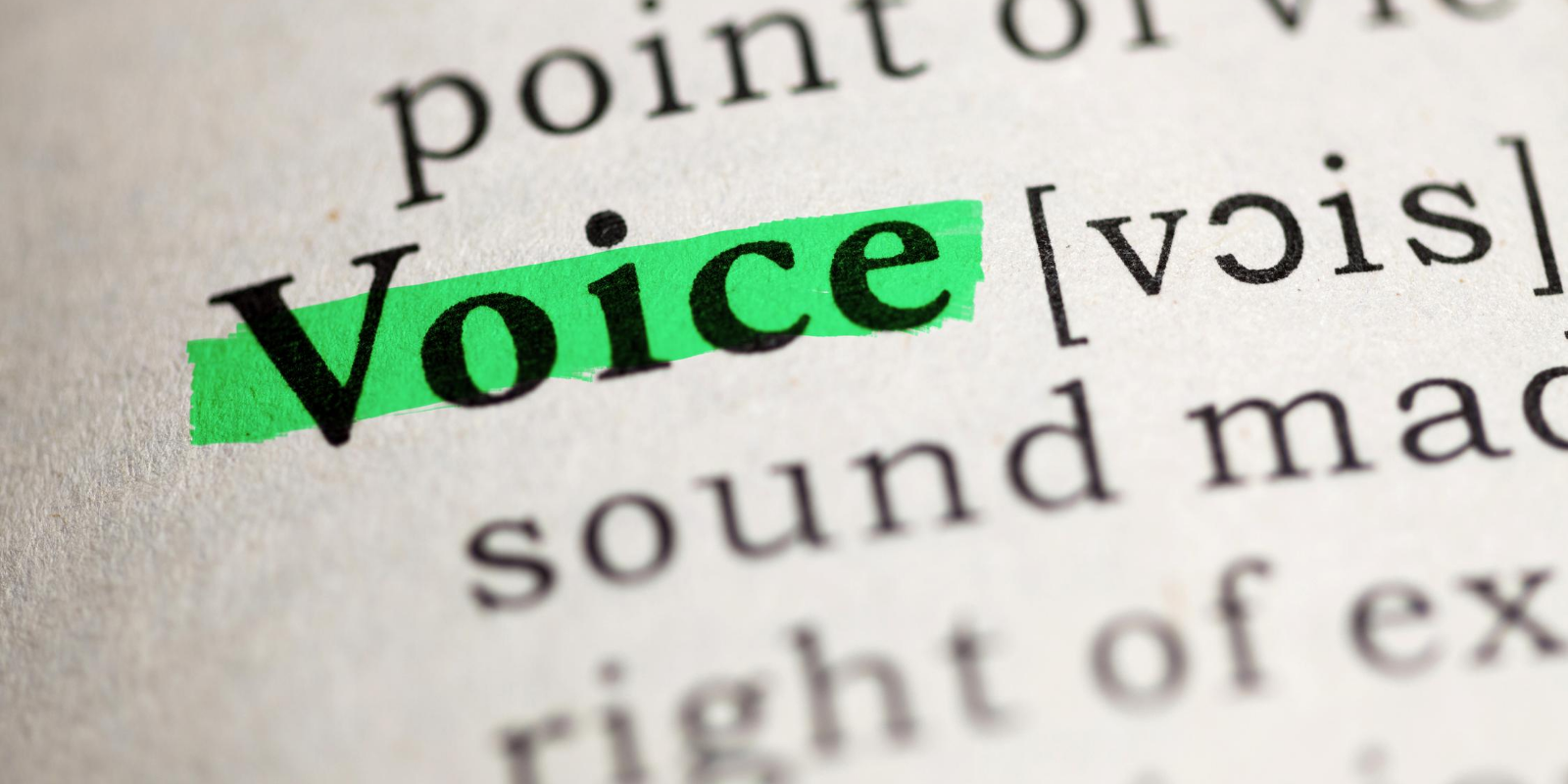 new-voice-or-an-unheard-voice-voicing-education